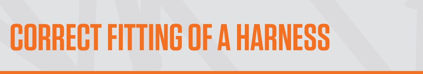 Correct Fitting Of A Harness